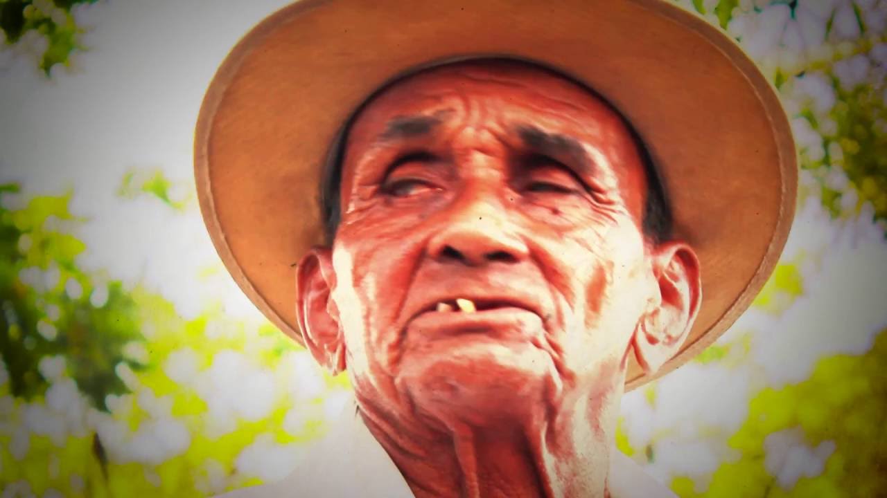 DOCUMENTÁRIO   ENVELHECER, UM ASPECTO PSICOSSOCIAL   PROINTER UNP   PSICOLOGIA 4NA 2016