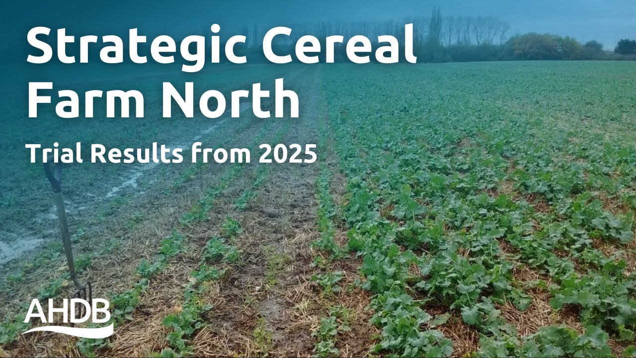 Strategic Farm North: Trial Results from 2025 | AHDB Webinar