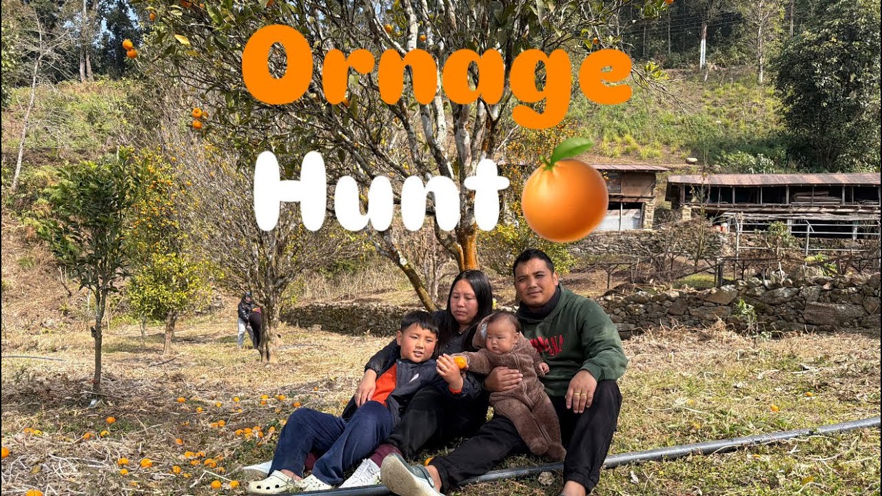 Orange Hunt Sunday🍊 | Tasty oranges🍊🤤 | Had fun 😇❤️