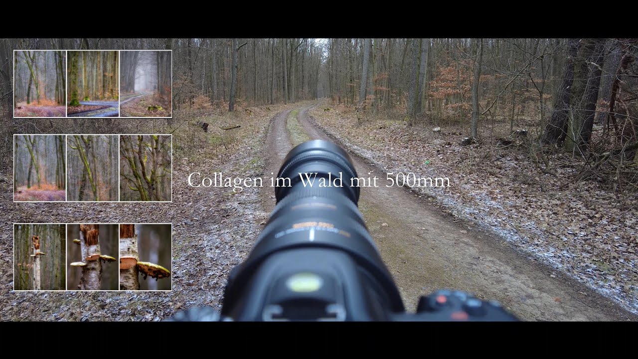 LANDSCHAFTSFOTOGRAFIE | Collagen im Wald mit 500mm | Vlog und Film mit DJI Action 3 im Wald