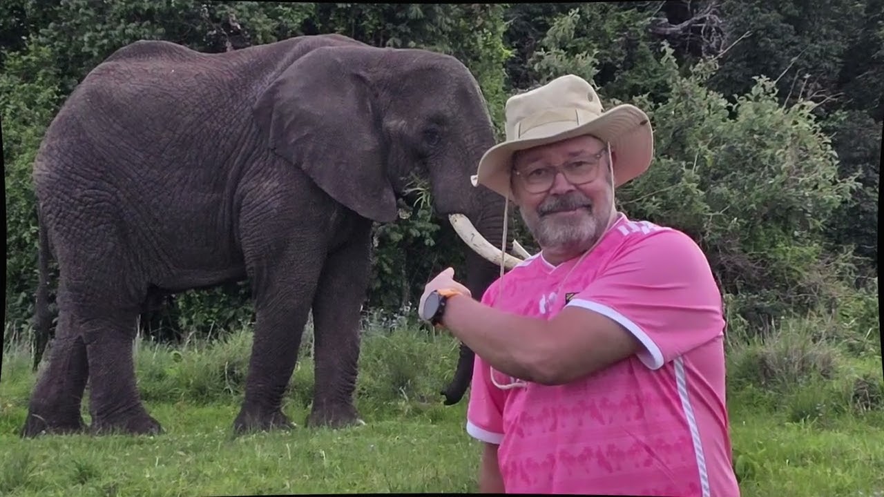 Safari Serengeti och Ngorongoro kratern