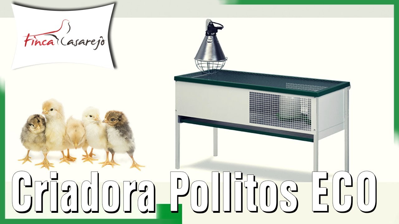 Criadora de Pollitos ECO: Montaje
