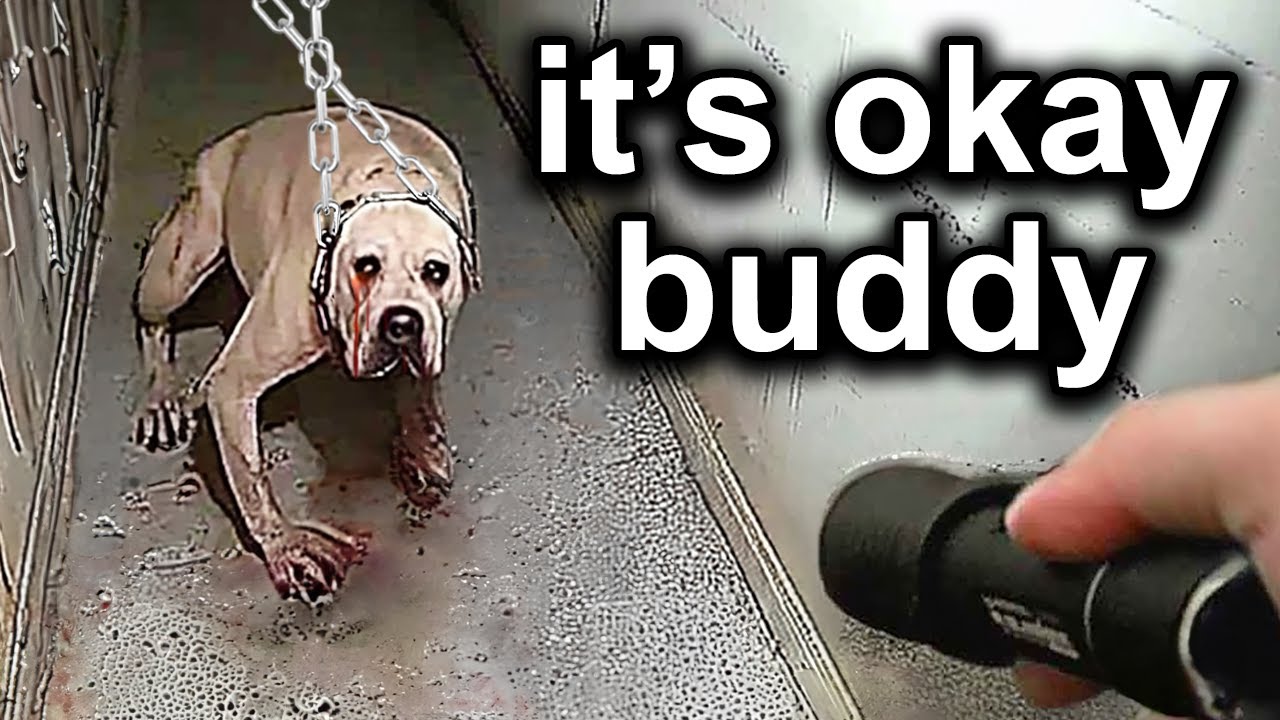When Cops RESCUE Pets From Evil People