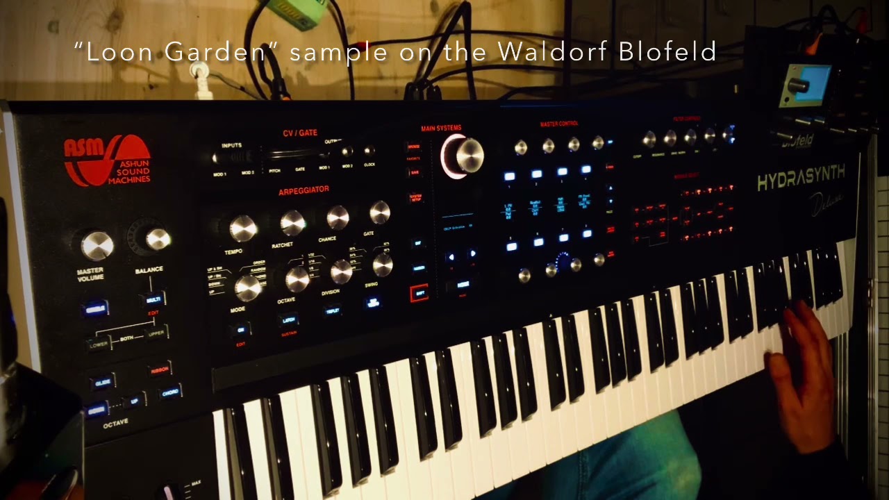 Hydrasynth Deluxe single patch &ldquo;Entropium RA&rdquo; + &ldquo;Loon Garden&rdquo; sample