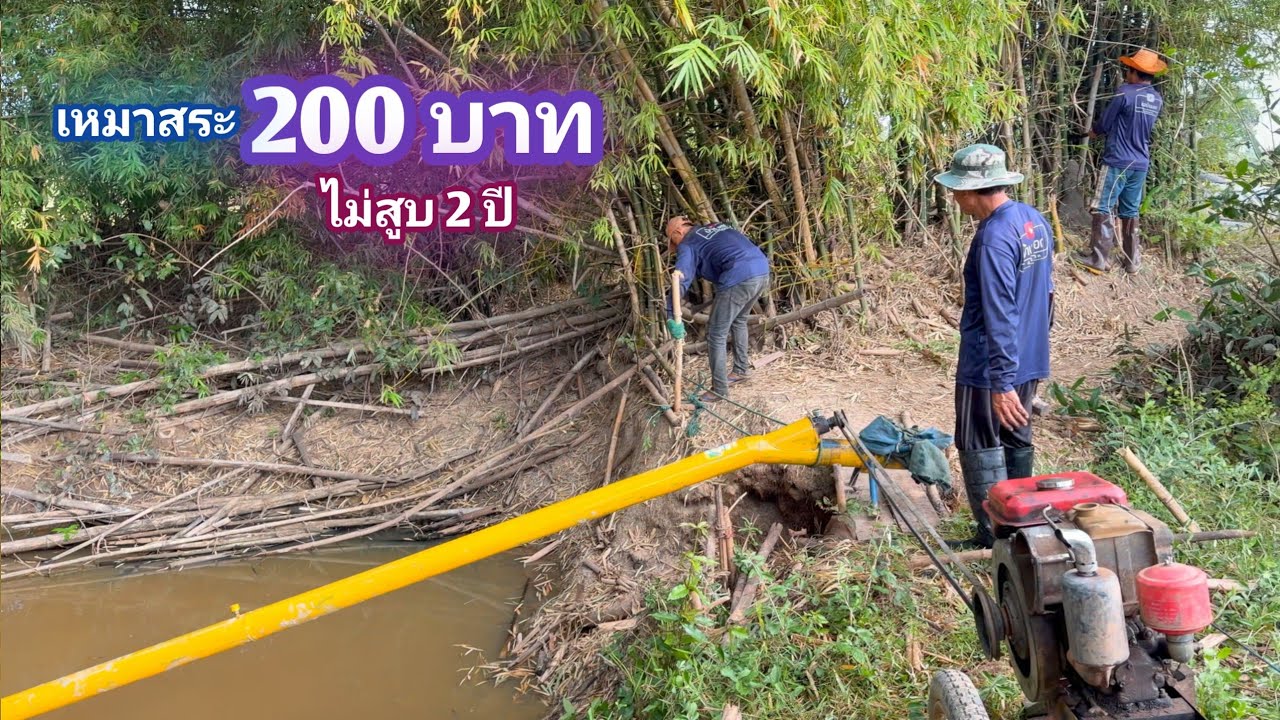 เหมาสระ 200 บาท สระ 2 ปี ทีเด็ดดงปลาไหล เมนูหลามบ่องไม้ไผ่ สระที่คุ้มความสุขสุดๆ  / บ้านนอก EP.976