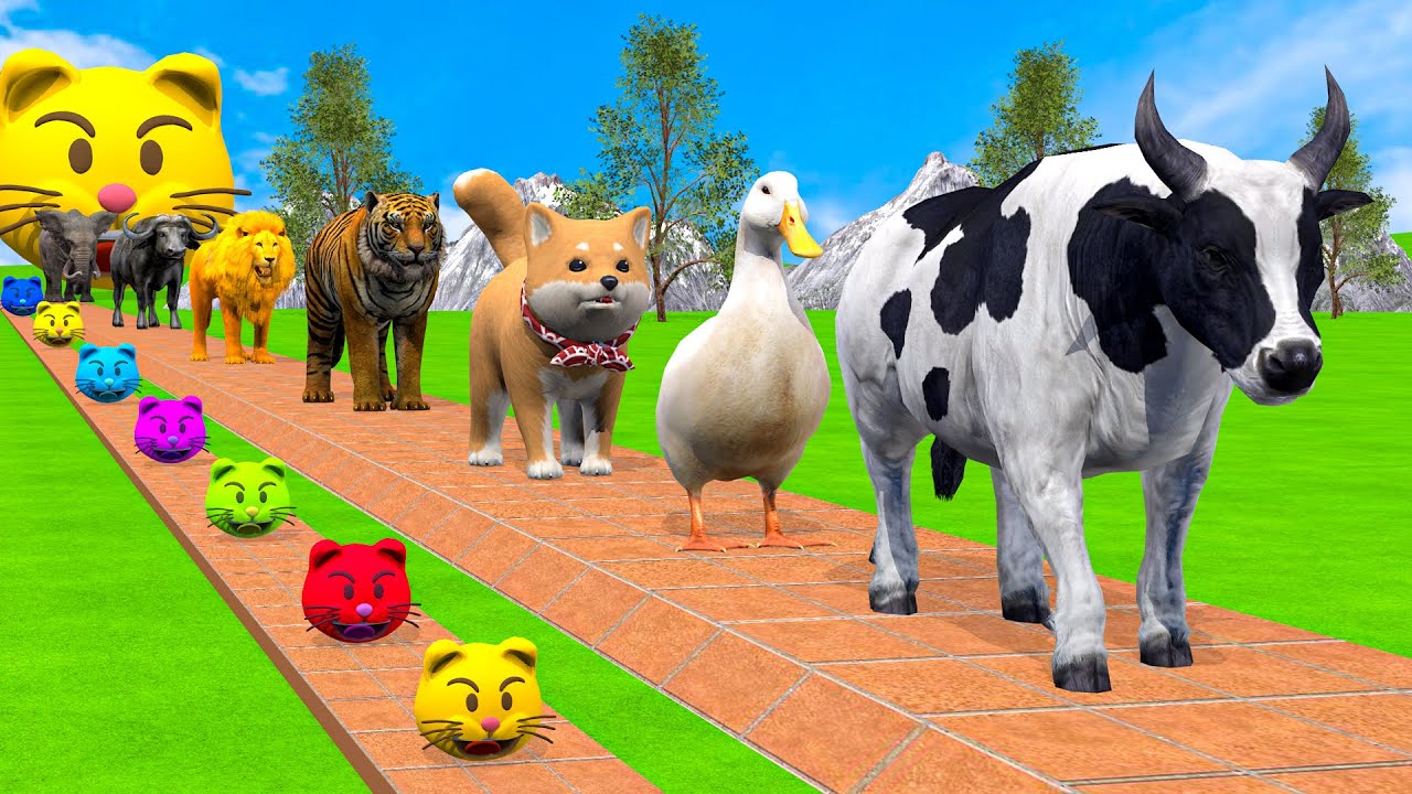 Long Slide Game With Cow Elephant Gorilla Hippopotamus Tiger - 3d Animal Game - Funny 3d Animals