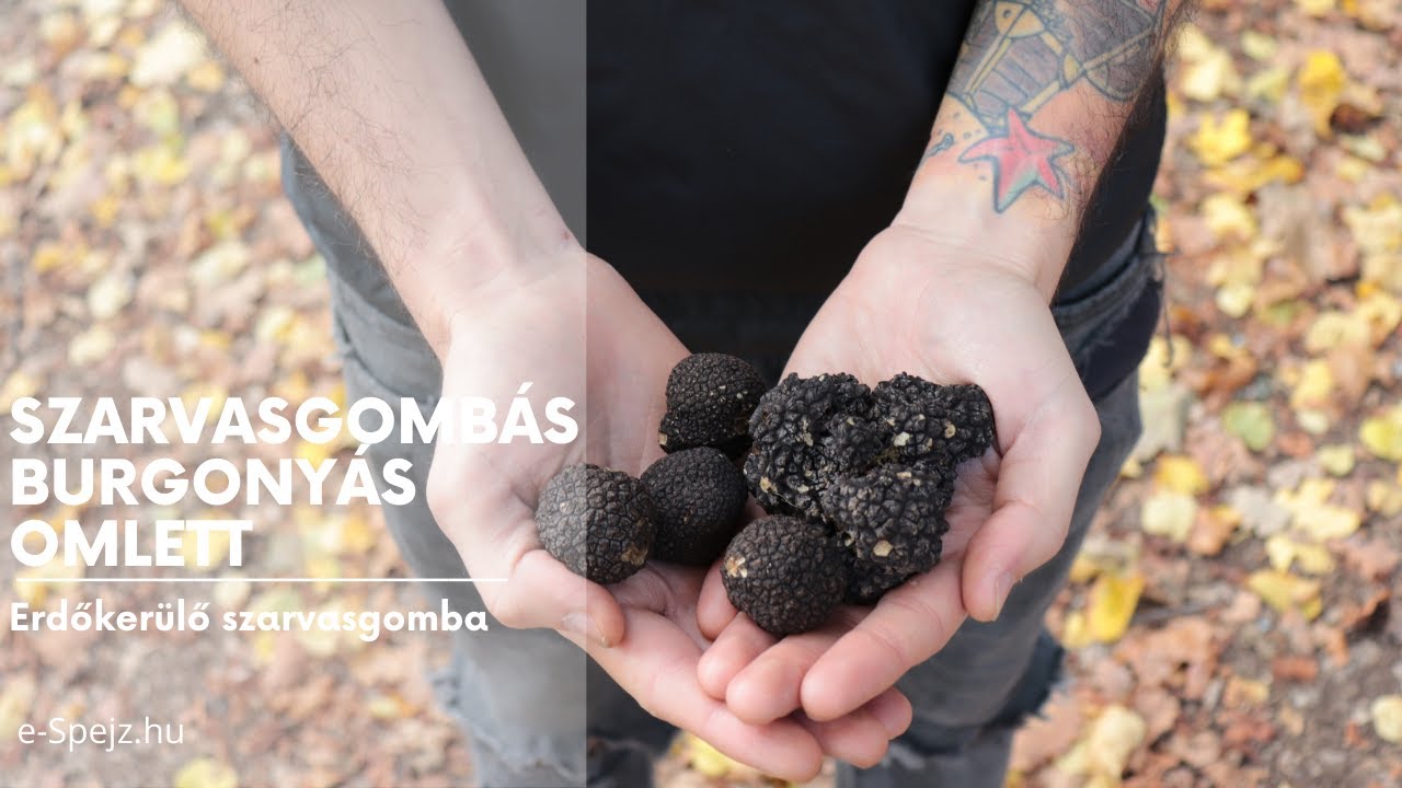 Szarvasgombás, burgonyás omlett // Erdőkerülő szarvasgomba // e-Spejz.hu