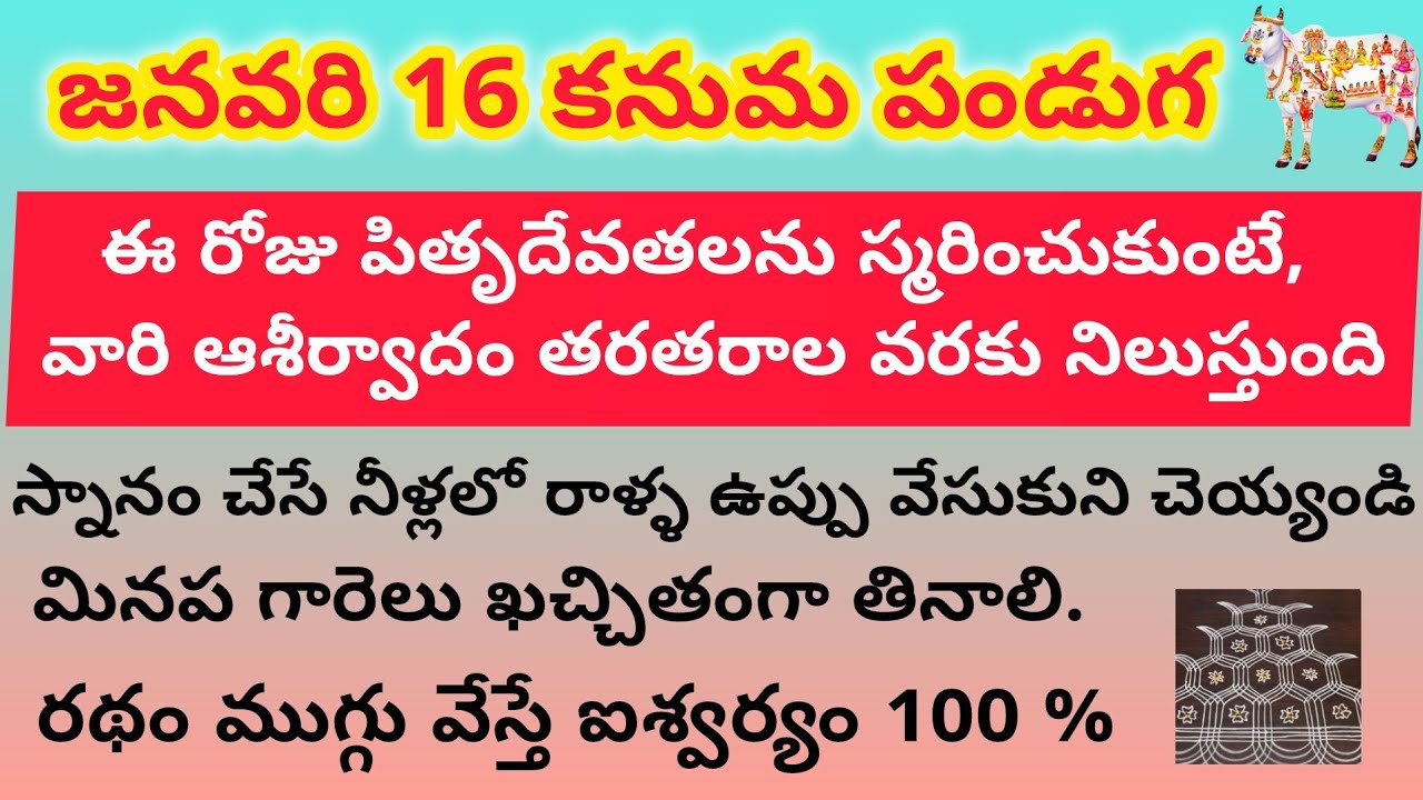 జనవరి 16 కనుమ పండుగ రోజు పాటించవలసిన నియమాలు