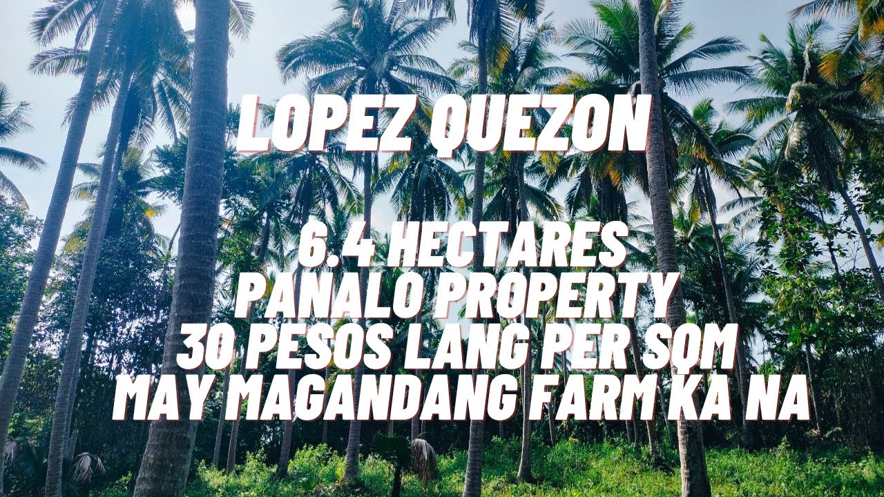VLOG#64 LOPEZ QUEZON / 6.4 HECTARES / 30 PESOS LANG PER SQM MAY FARM KA NA