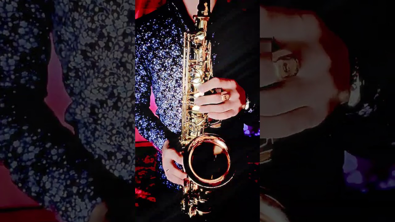 Кристина Орбакайте - Я это вижу (SAX cover by OMSAX)