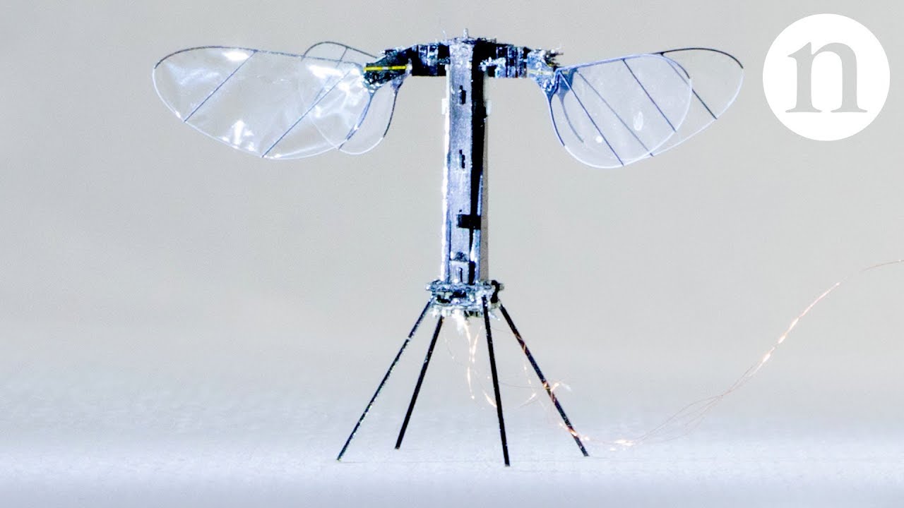 Insect-sized robot takes flight: RoboBee X-Wing
