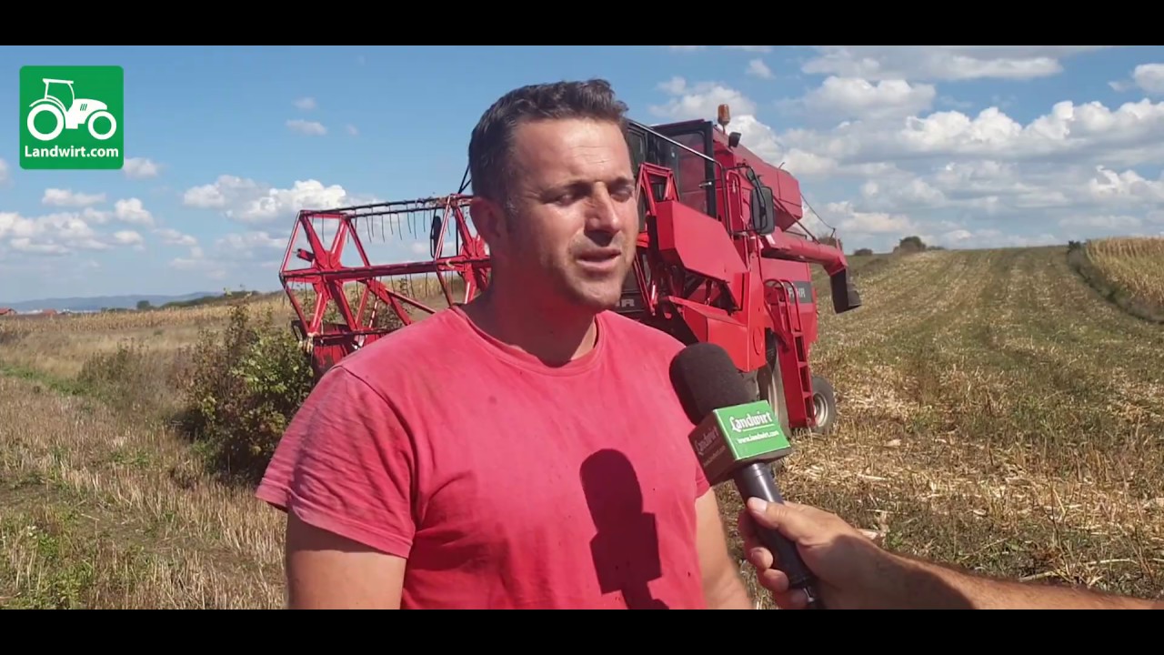 Korrja e misrit për kokërr me autokombajnë