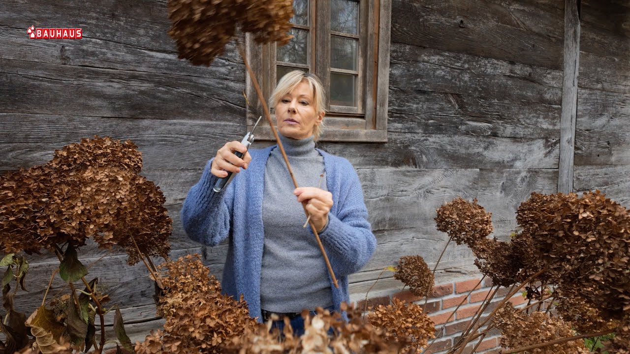 Škola vrtlarstva - zimsko razmnožavanje drveća i grmlja
