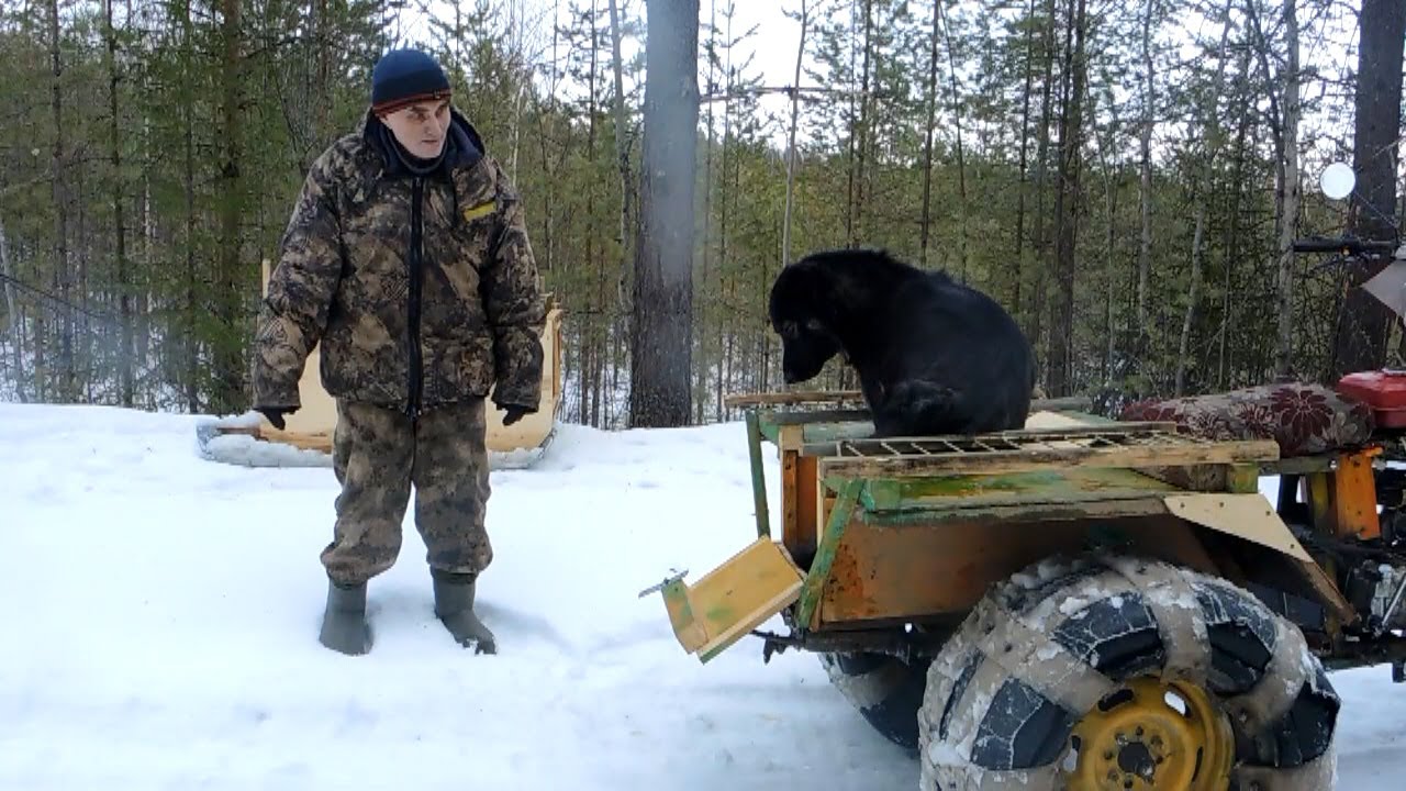По болоту на снегоходе. Самодельный трёхколёсный вездеход.