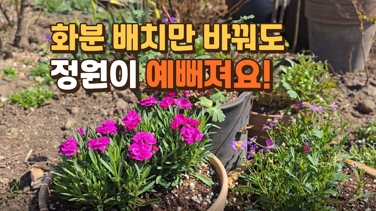 화분 하나 바꿨을 뿐인데 정원 분위기가 완전히 바뀌었어요