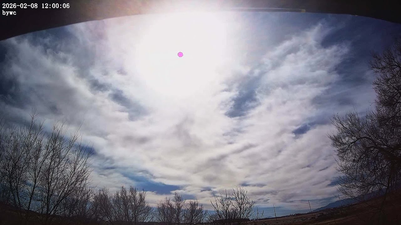 Sun, Feb 08, 2026 Back Yard Weather Cam Timelapse