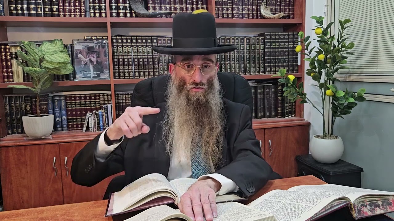 בן העולם הבא | שו