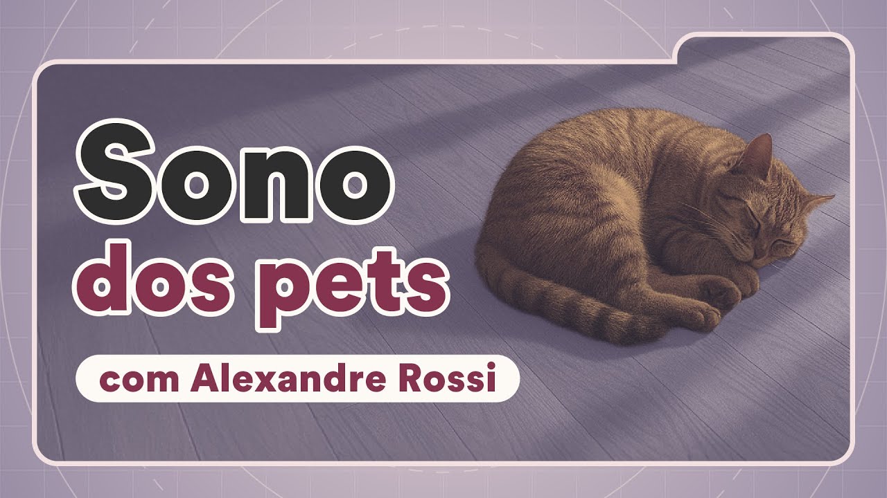 Sono dos pets: import&acirc;ncia e dicas pro descanso | Petz TV Cuidados