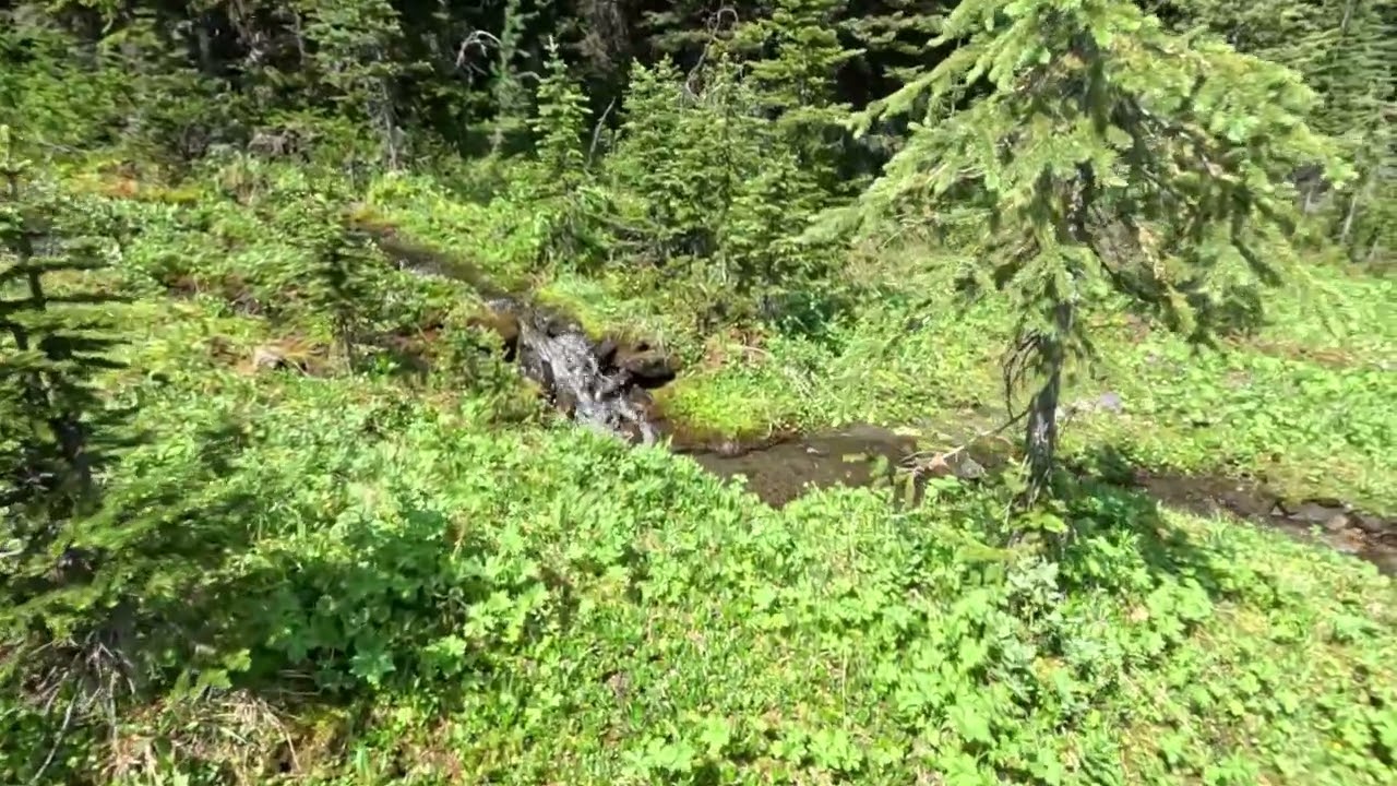 Solo Backpacking Adventure from Home: Ep.5 Mount Romulus to the Tombstone Lakes