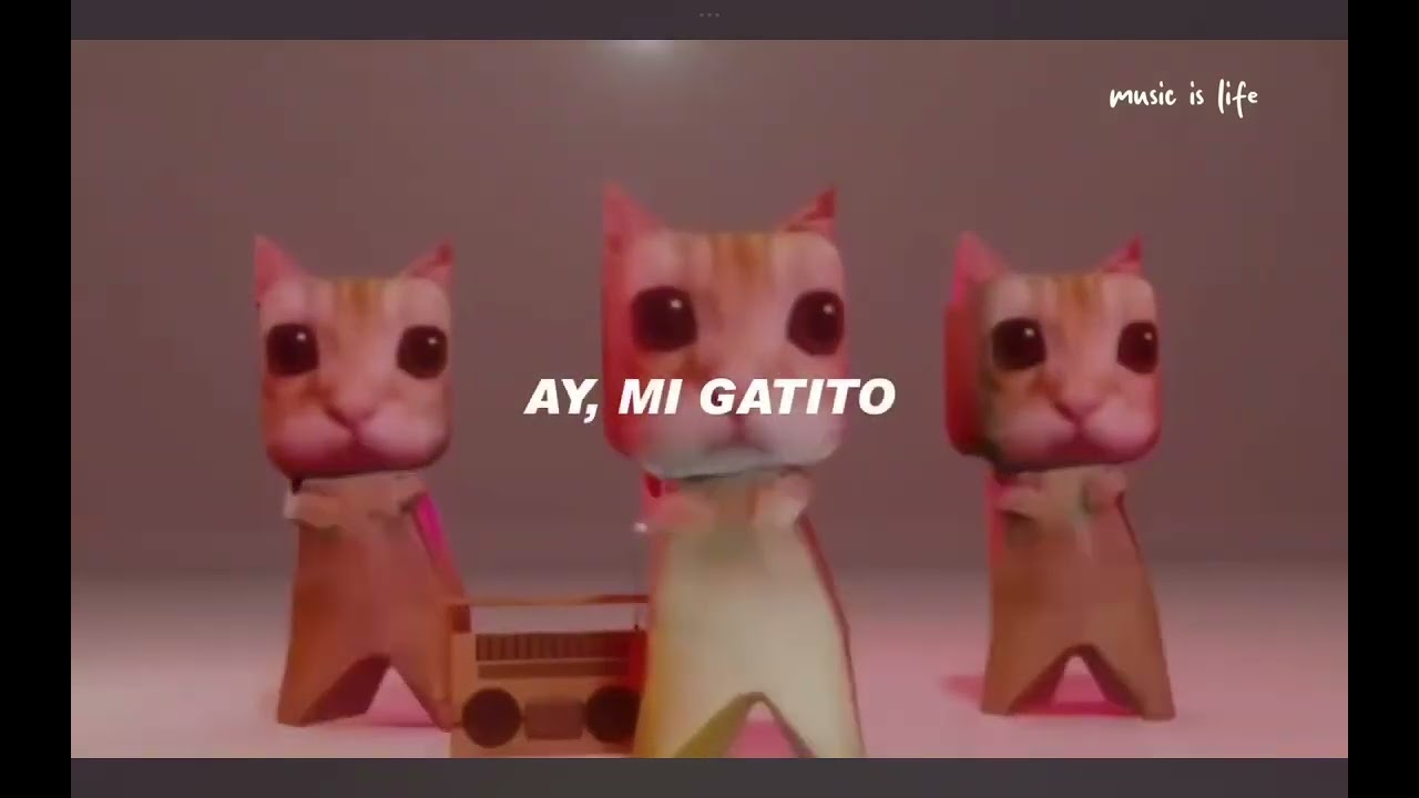 Ay mi gatico miau miau 