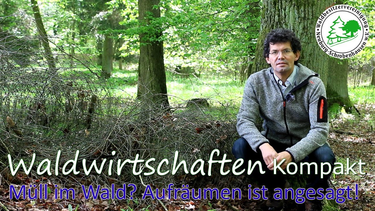 Waldwirtschaften Kompakt - M&uuml;ll im Wald? Aufr&auml;umen ist angesagt