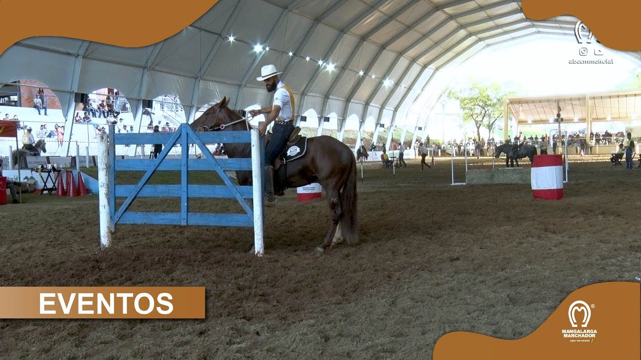PROVAS FUNCIONAIS CBMs BATIDA E PICADA