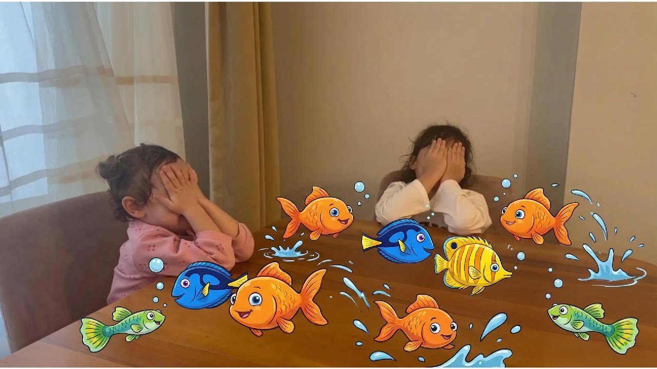 SÜRPRİZ BALIKLAR NEMO VE ORANGE 🐠 🐠 @niloyatv @oyku-sevindik