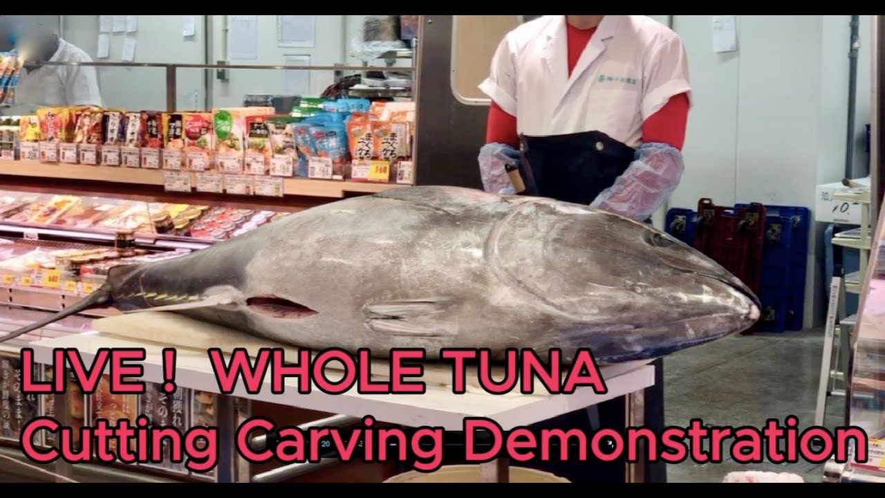 LIVE !  WHOLE TUNA Cutting Carving Demonstration
