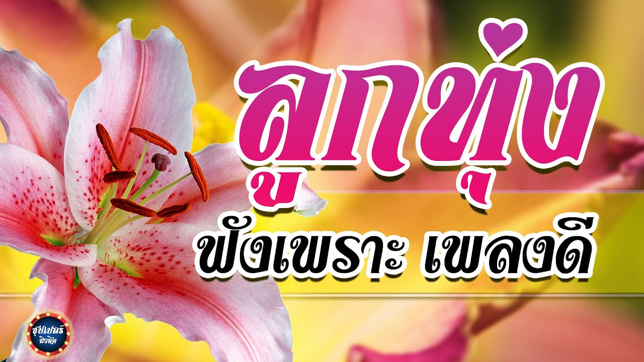 ลูกทุ่ง ฟังเพราะ เพลงดี  [ ฟังกี่ครั้งก็ยังเพราะ ]  #ฟังต่อเนื่อง