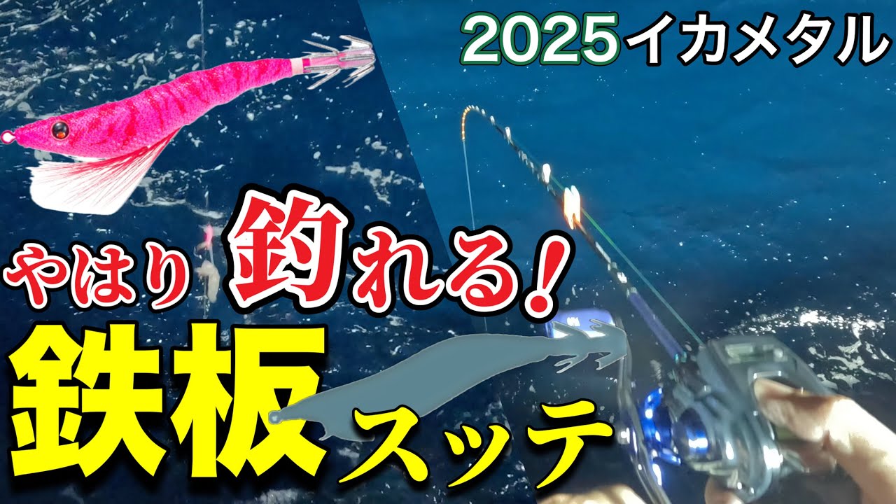 [イカメタル]ハイシーズン！やはり鉄板スッテは強かった！
