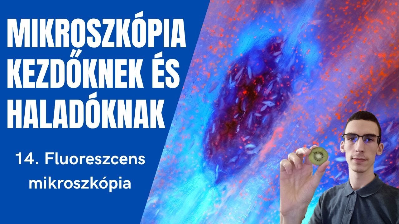 Mikroszkópos alapok 14. - Fluoreszcens mikroszkópia #microscopy300years