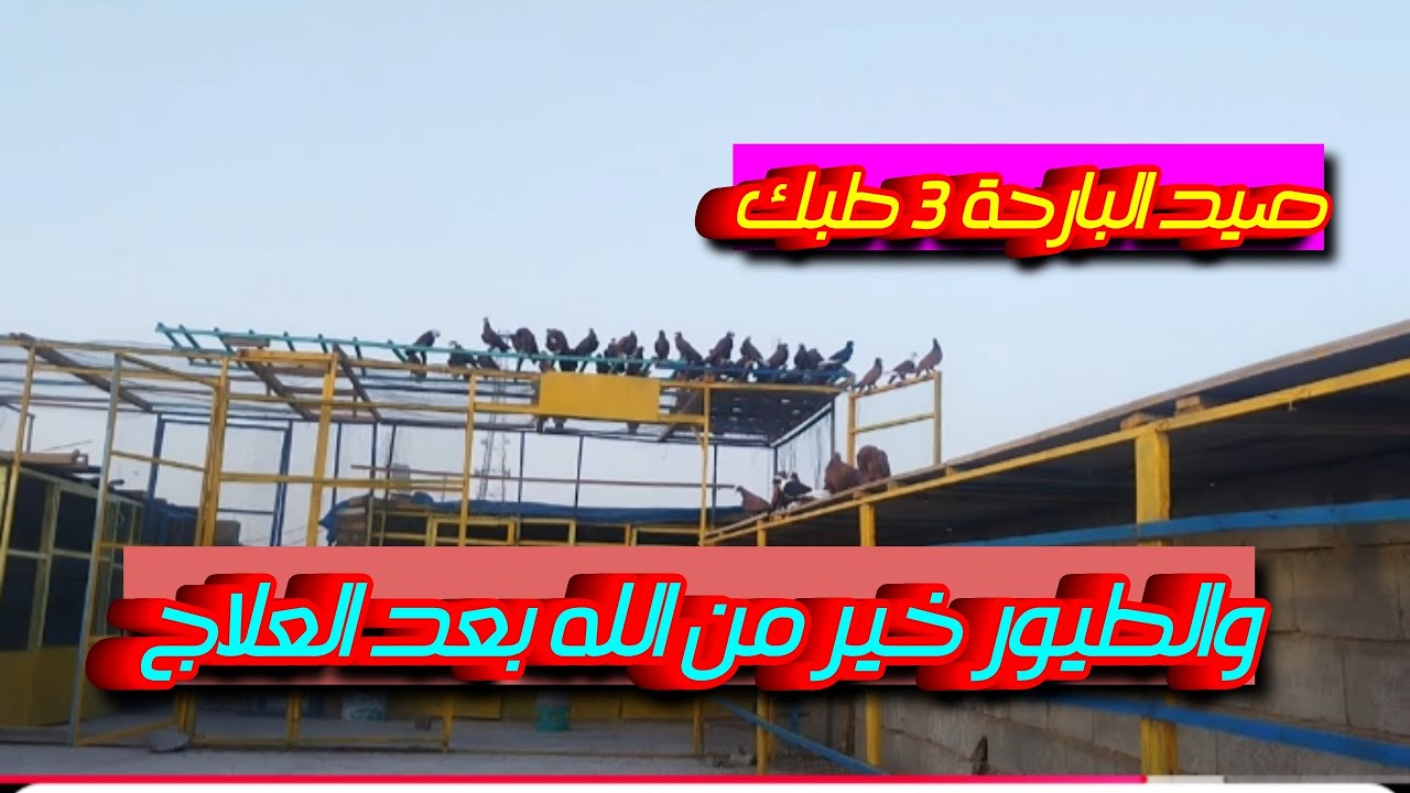 رجعته الكم شباب  مطيار وصيد واسباب الانقطاع 11/5/2025