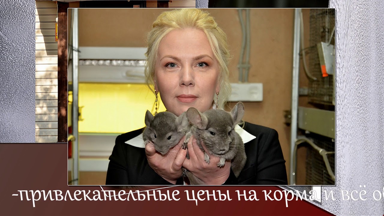 Начните бизнес с Ретас