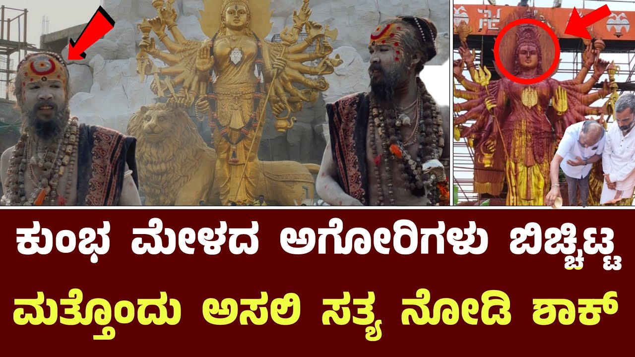 ಕುಂಭ ಮೇಳದ ಅಗೋರಿಗಳು ಬಿಚ್ಚಿಟ್ಟ ಅಸಲಿ ಸತ್ಯ || Chamundeshwari Basappa Sannidhi Gowdagere