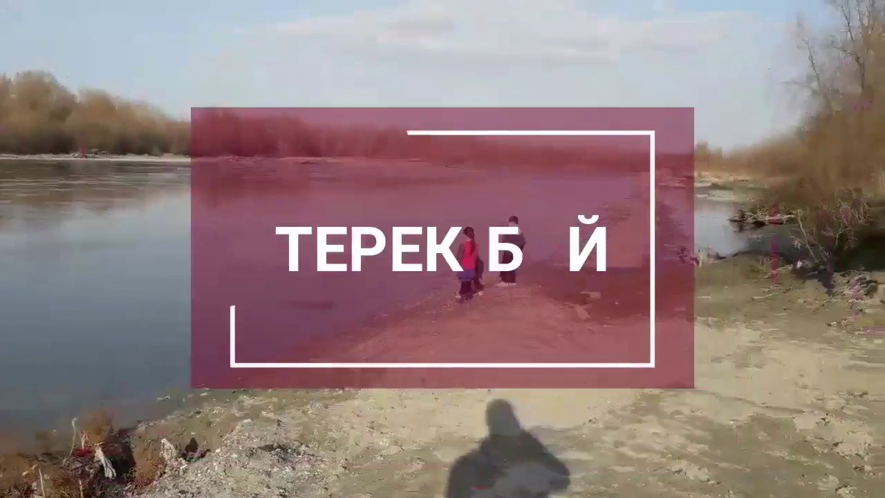 Живая природа. Терек бой. Кизляр юрт.