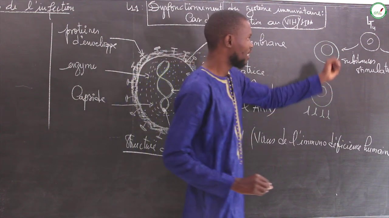 Cours - Troisième - SVT : Le dysfonctionnement du système immunitaire/Cas de l'infection au VIH/SIDA