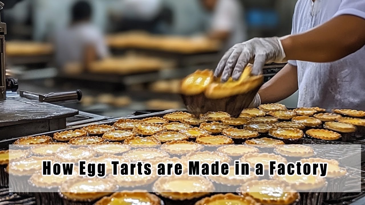 How Egg Tarts are Made in a Factory | Egg Tart Production Process