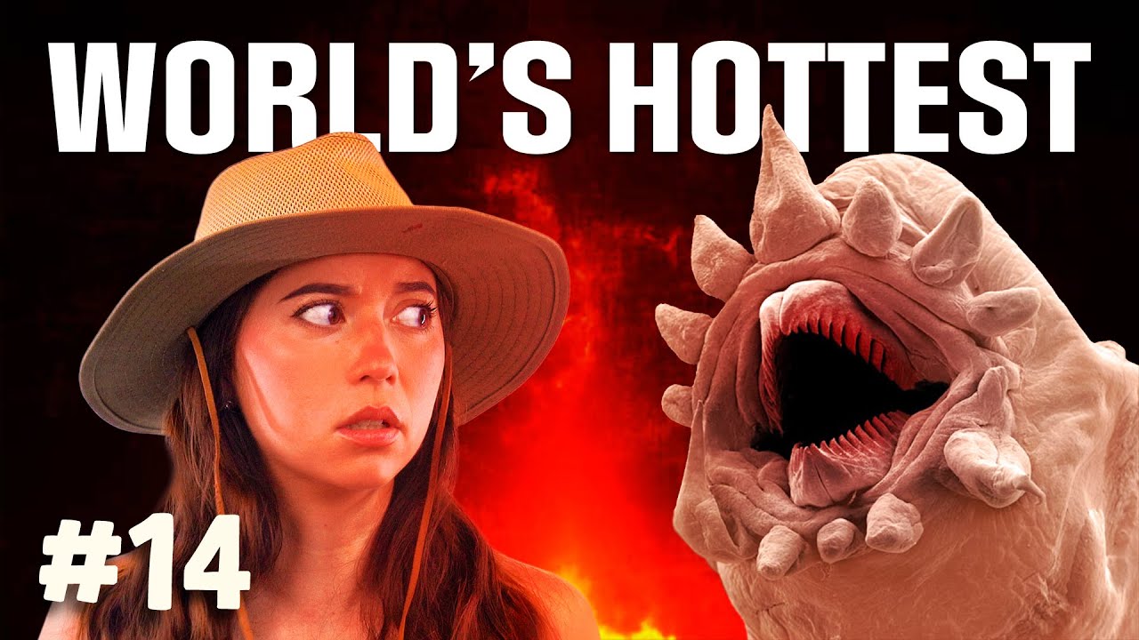 World's Hottest: Can This Worm Survive In Boiling Water?
