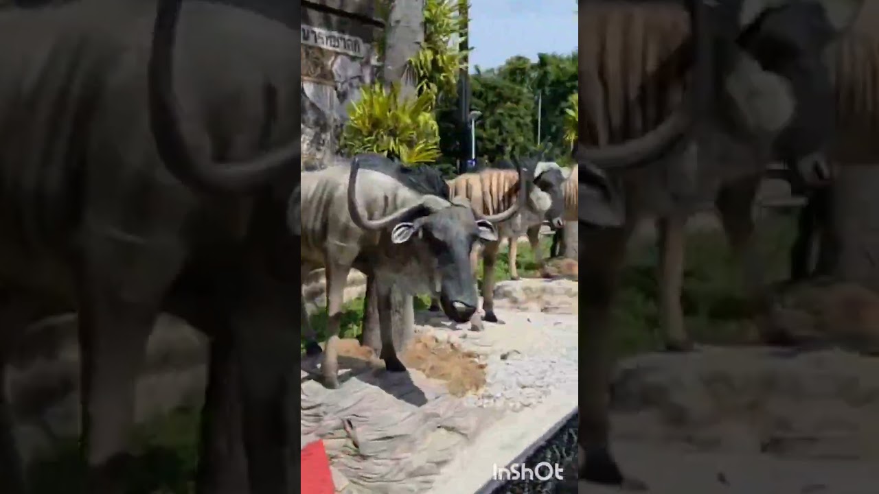 Nong nooch Garden Pattaya Thailand 