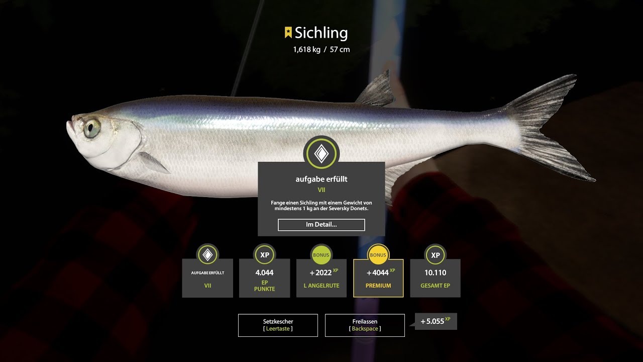 Russian Fishing 4. Sichling an der Donez stippen