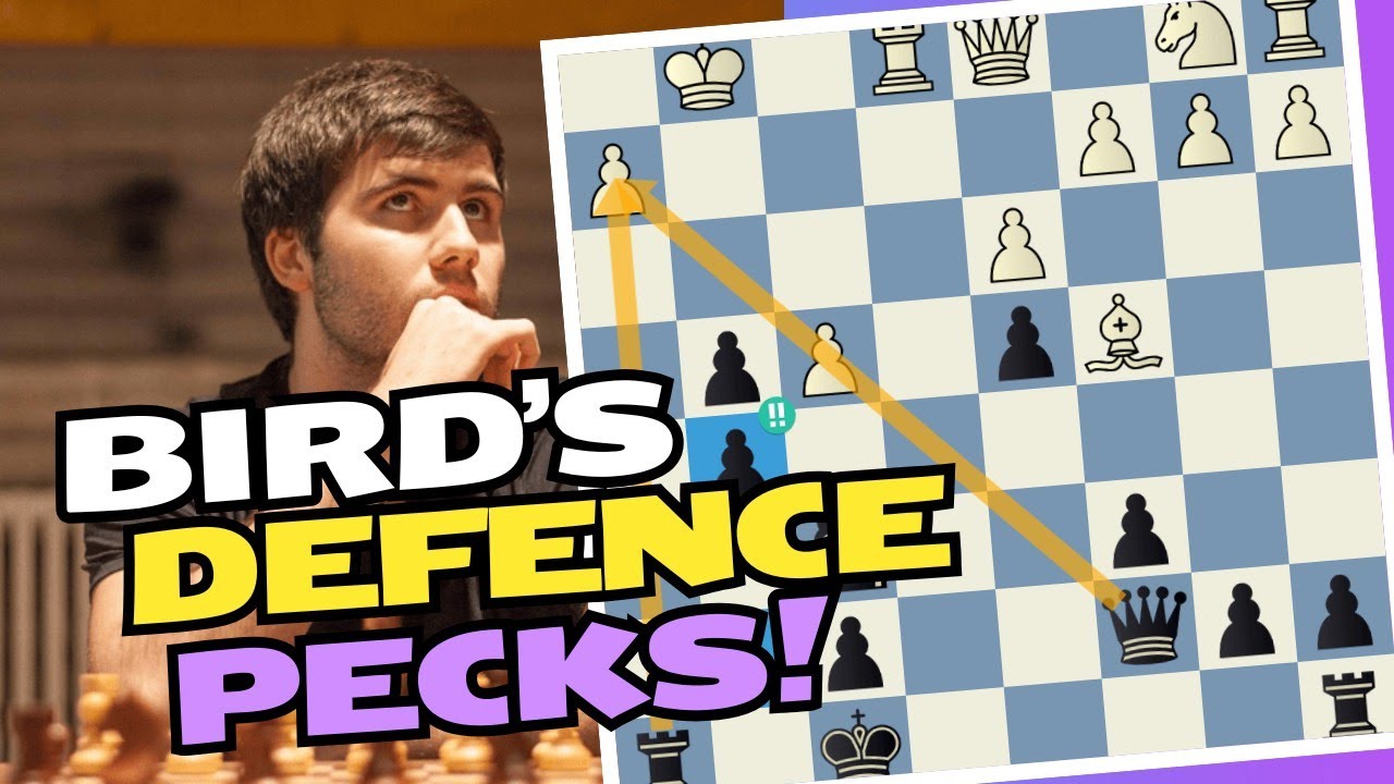 Bird's Defense Pecks! 2600 Rapid Chess