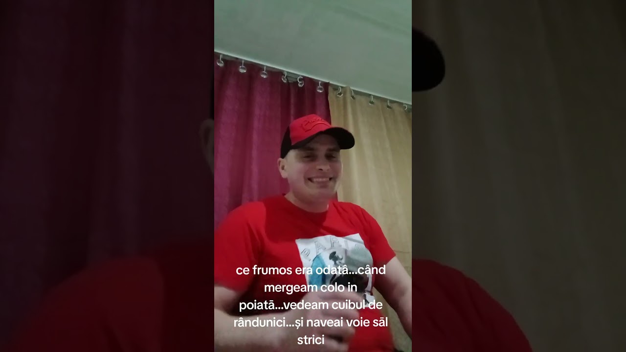 Ce frumos era odatâ când mā duceam in poiatā