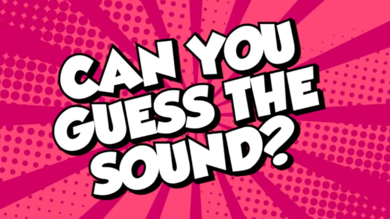 Can You Guess the Sound? The Game