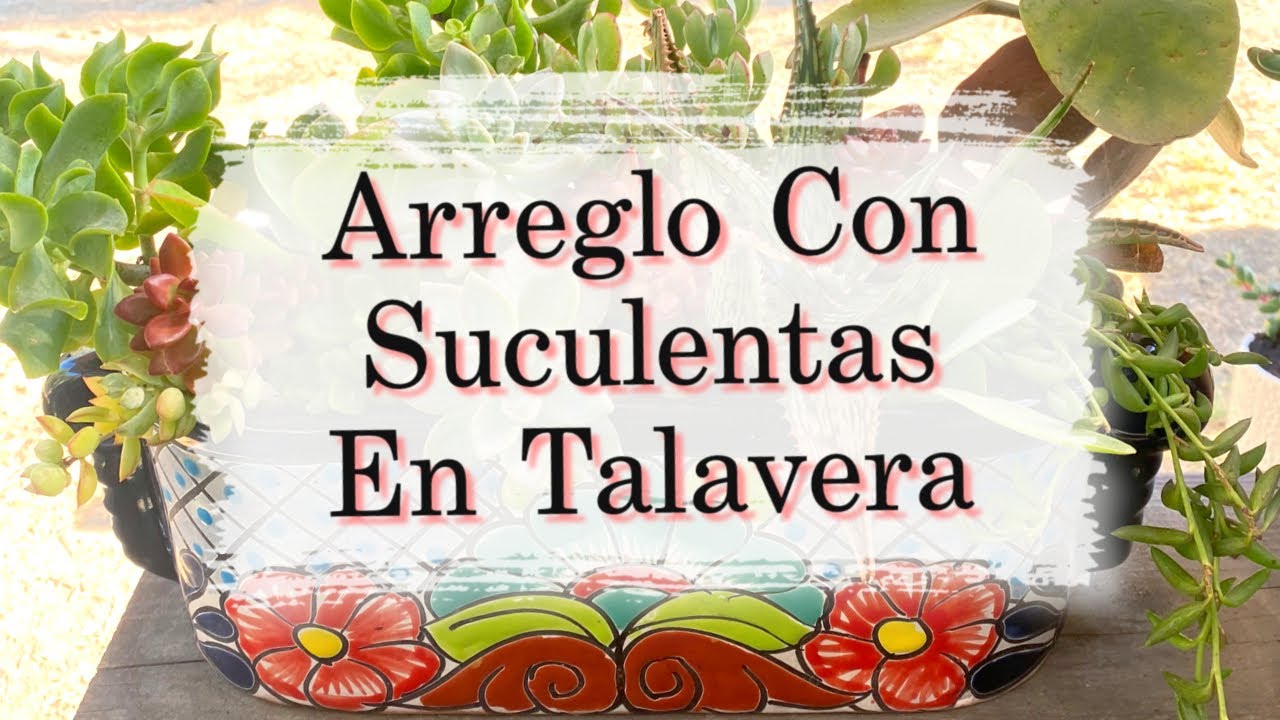 Arreglo de Suculentas | Arreglo de Suculentas en  Maceta de Talavera