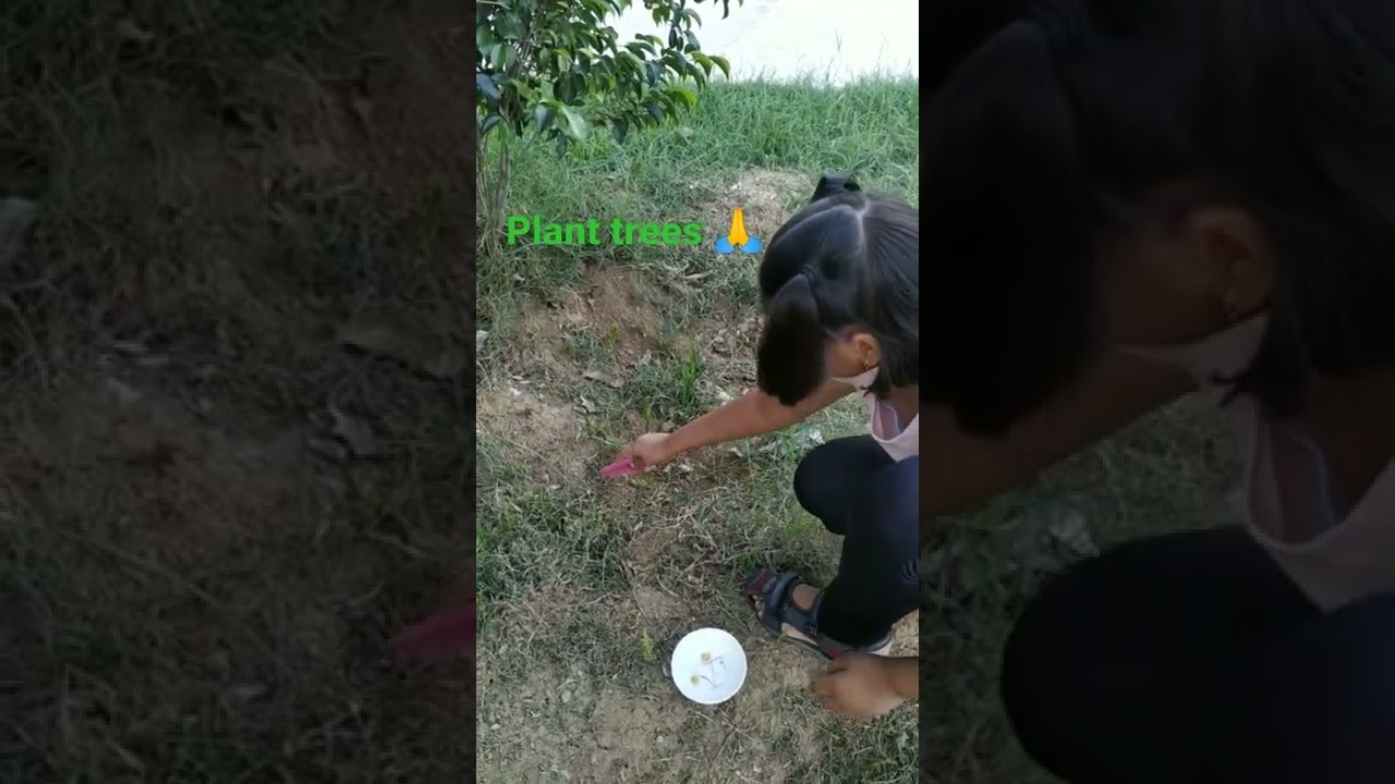# Neem Tree plantation from neemoli very easy. save environment, save nature, plant more trees🌲🌳🌴