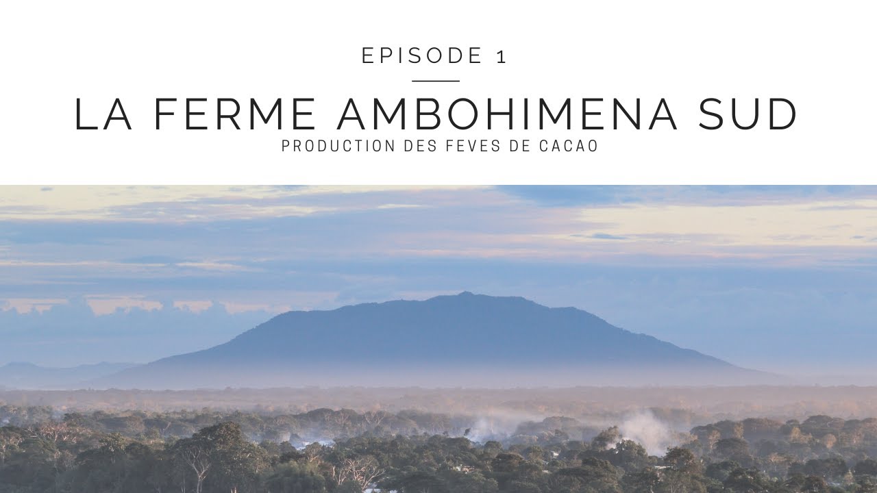 Cacao de la gamme Chocolat Tannea®  -   Episode 1 - la Ferme Ambohimena Sud