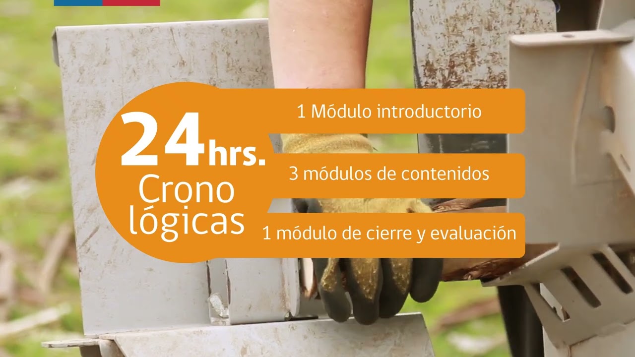 Aprovechamiento Energ&eacute;tico de la Biomasa 2025