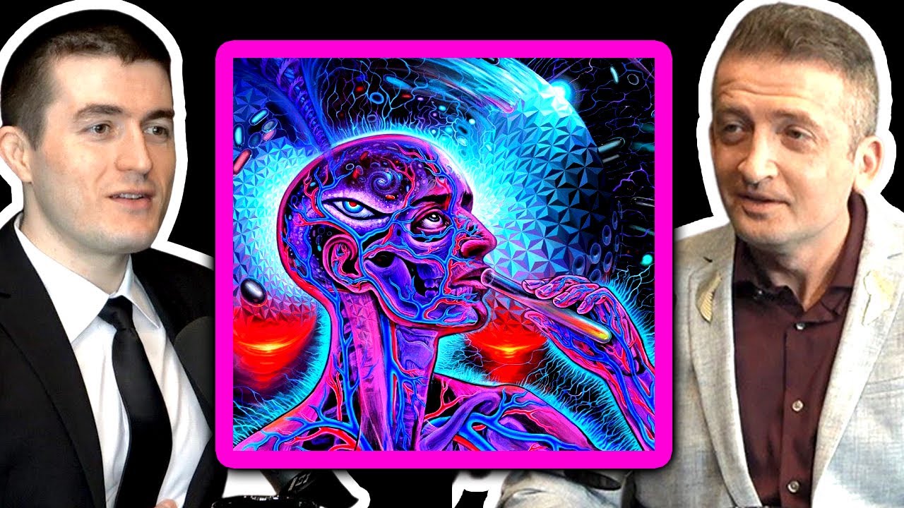 Are the DMT elves real? | Michael Malice and Yaron Brook and Lex Fridman