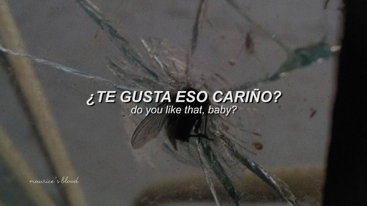 Vacillator - Ethel Cain [Sub Español // Lyrics]