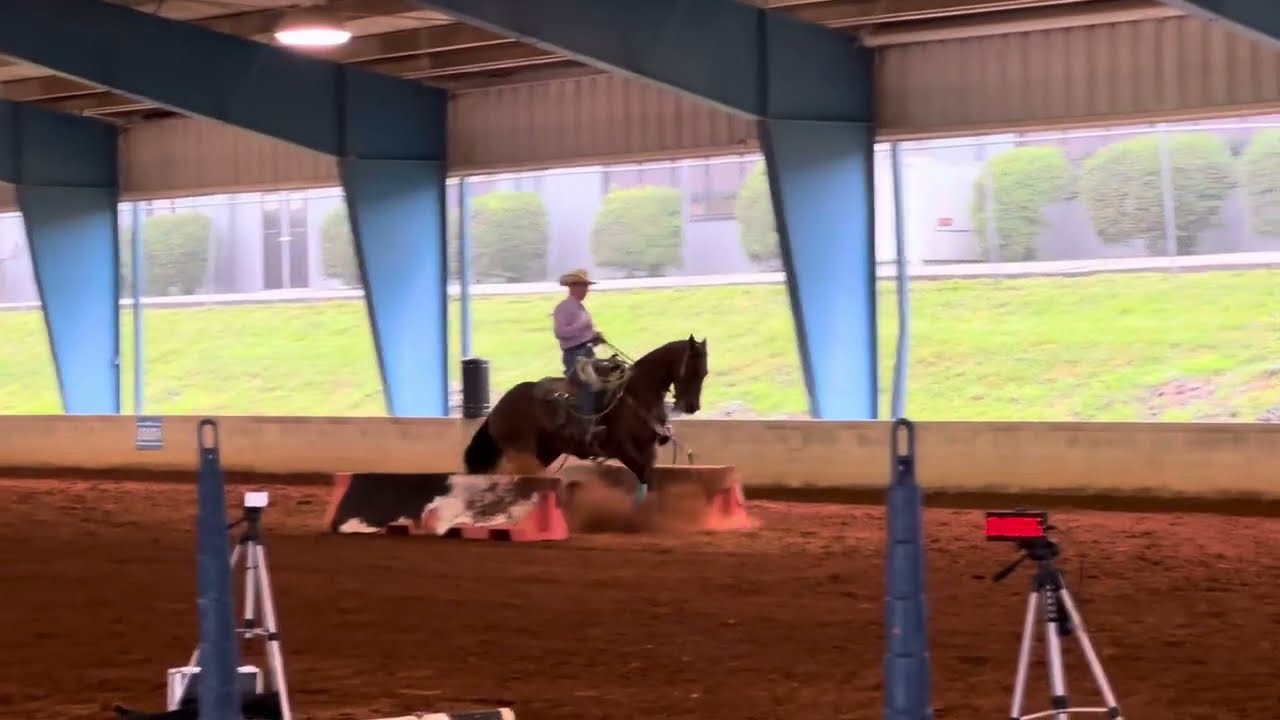 Harley Pro Round Nationals Championship 2024 EXCA